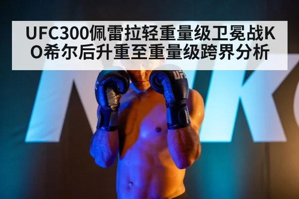 UFC heavyweight fight