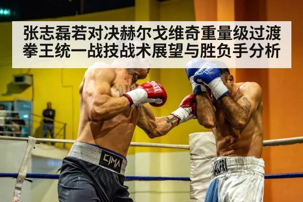 张志磊若对决赫尔戈维奇重量级过渡拳王统一战技战术展望与胜负手分析